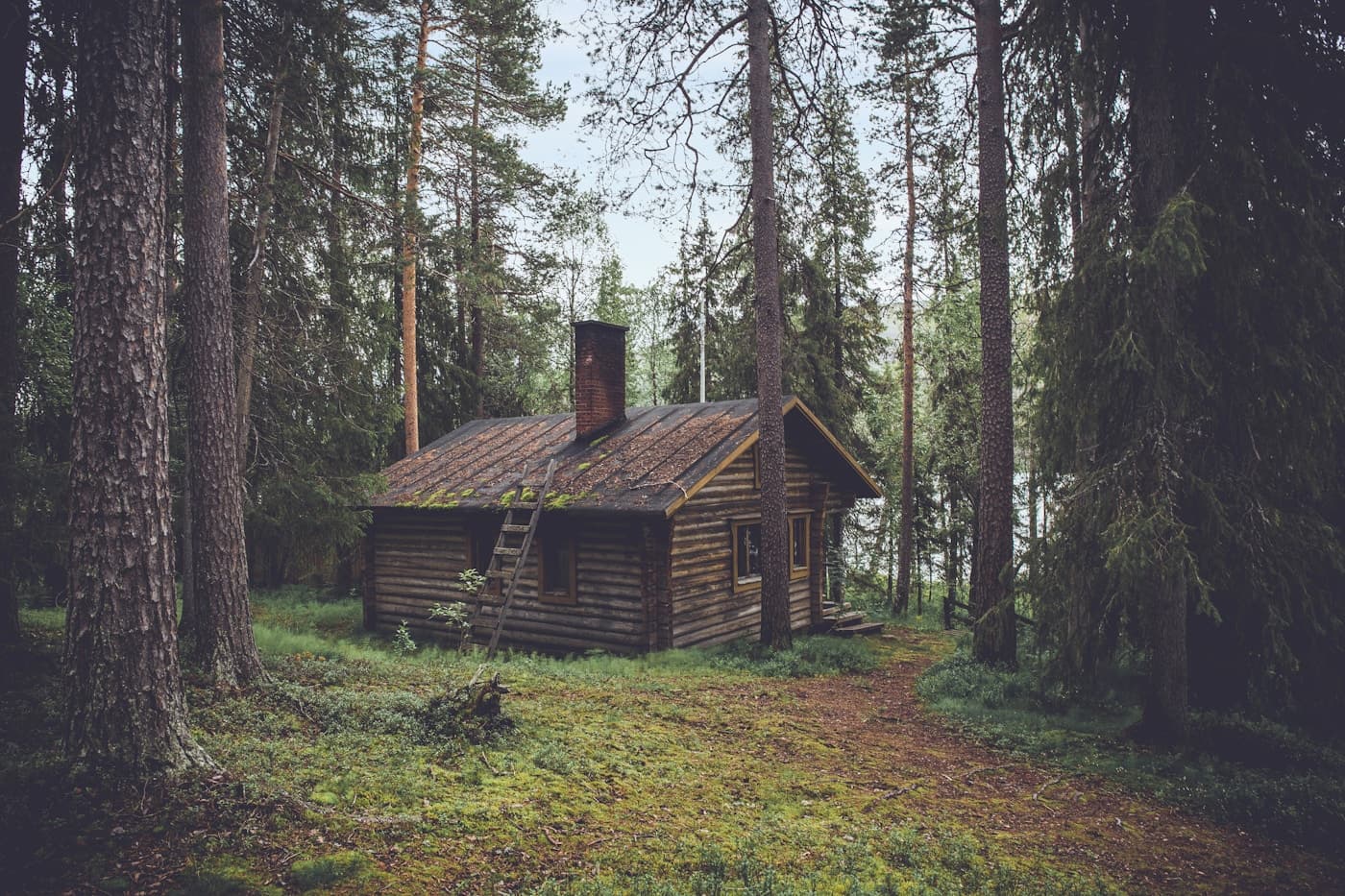 Quiet timber lodge surrounded by mountain woodland